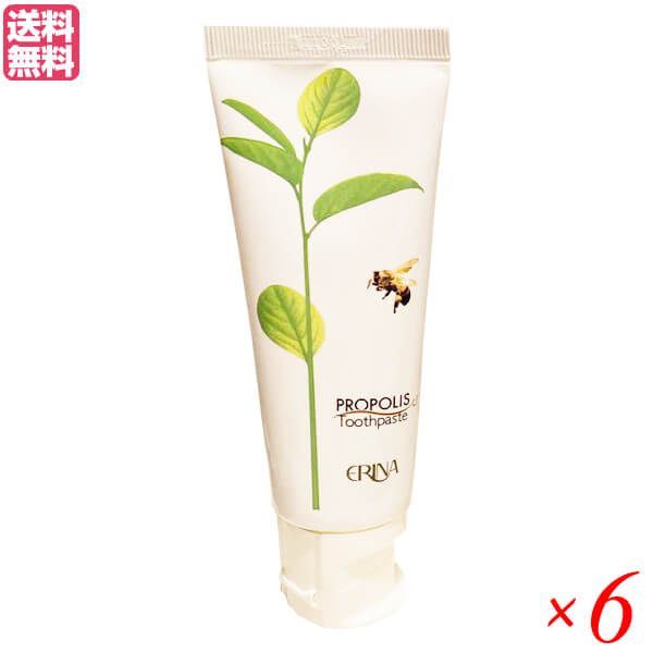 エリナ P歯磨き 95g 6本セット プロポリス 歯磨き ハミガキ