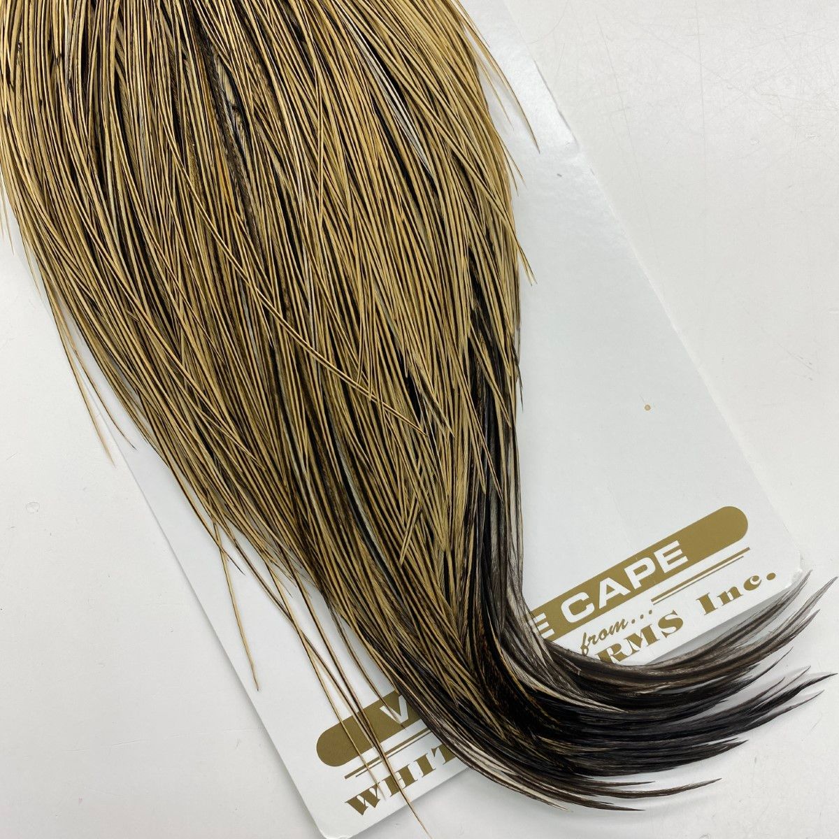 §§WHITING ヘリテージ ハックル ケープ ドライフライケープ WHITING ヘリテージ ハックル ケープ ドライフライケープ - メルカリ