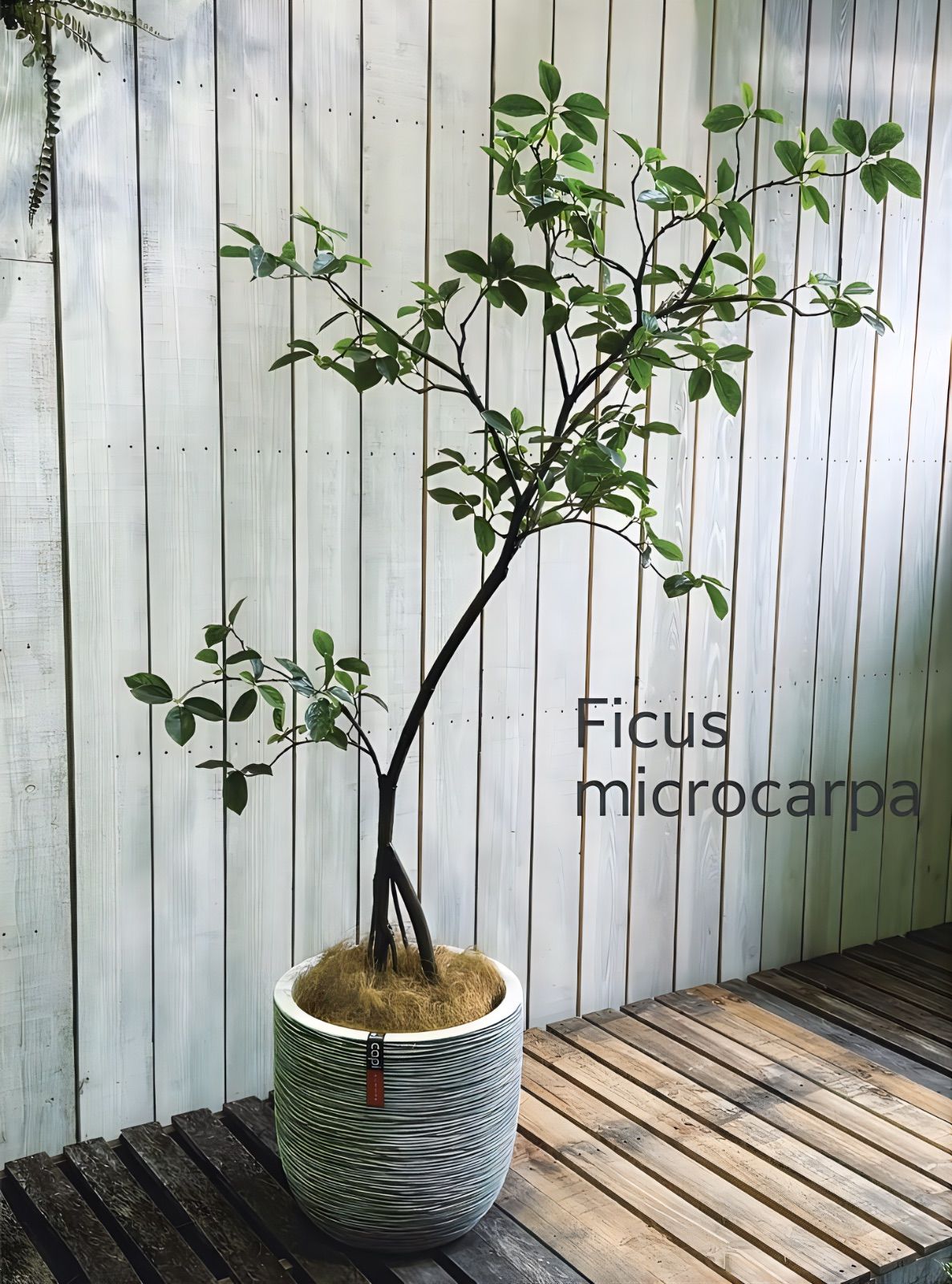 光触媒 人工観葉植物 ウォールグリーン フェイクグリーン