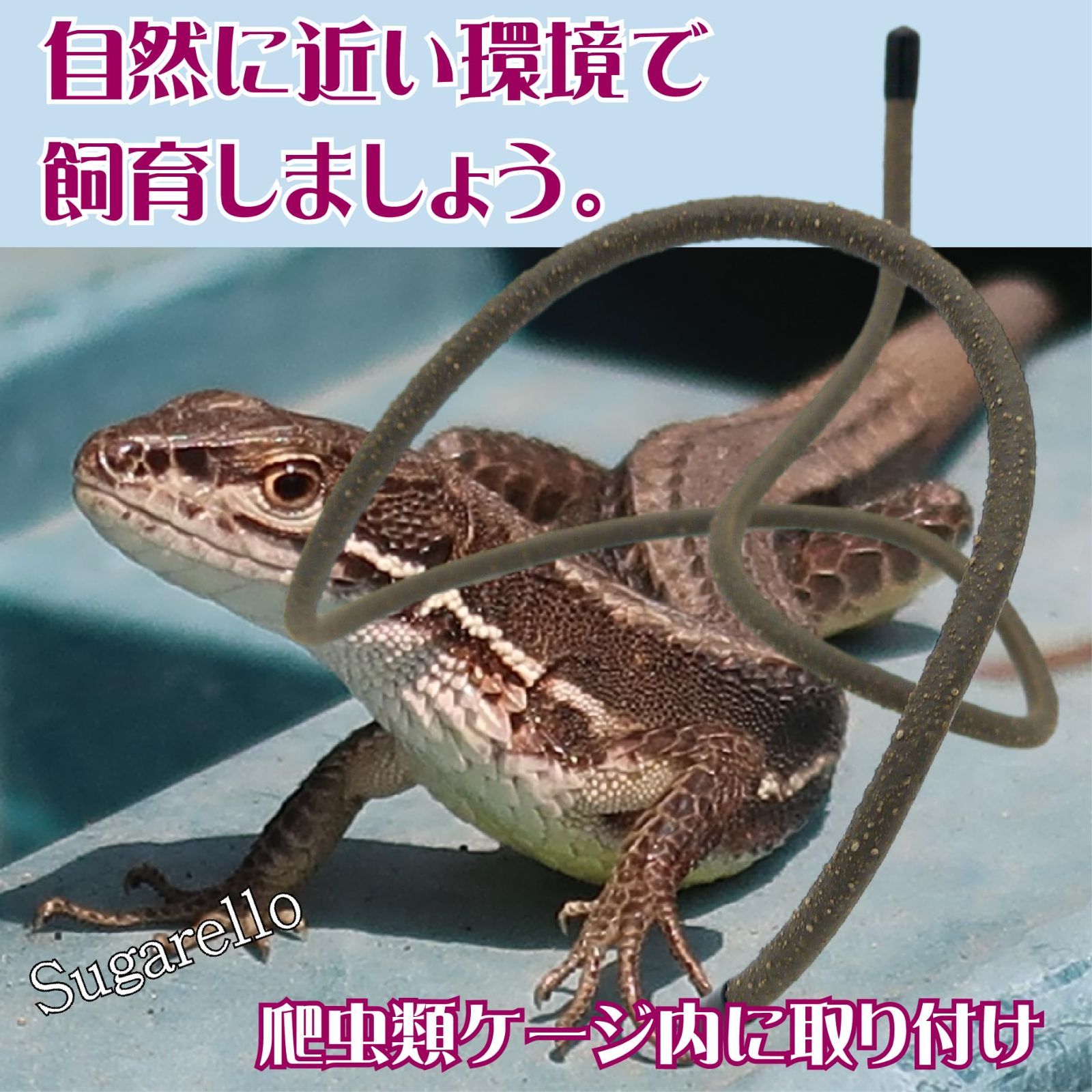 人気商品】カメ ヤモリ 吸盤付き カエル ヘビ トカゲ 自然 柔軟性 隠れ家 人工植物 木のつる 人工爬虫類つる 木登り用枝 登り木 人工藤 藤つる  飼育ケースアクセサリー 人工ジャングル 爬虫類 Sugarello - メルカリ