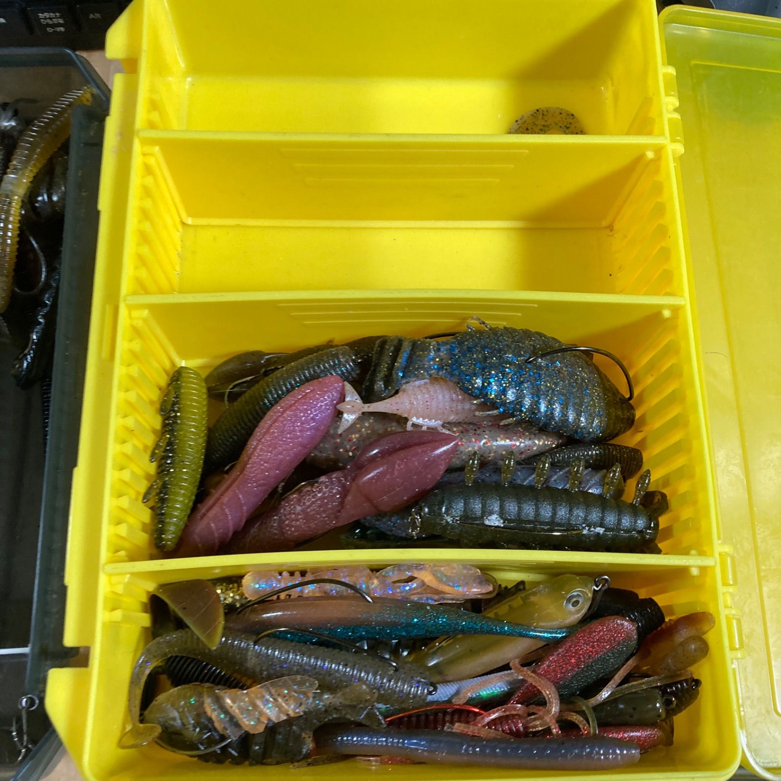 バス釣り