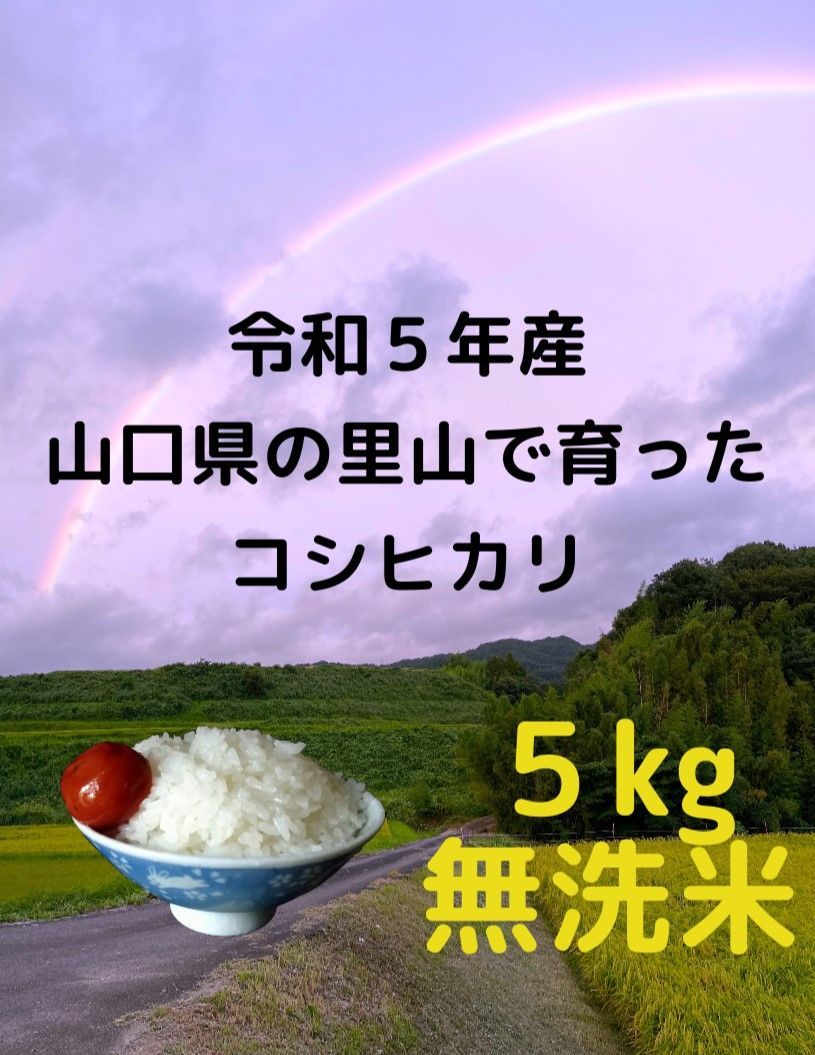 令和5年 山口県産コシヒカリ 8キロ 精米済み - 米・雑穀・粉類