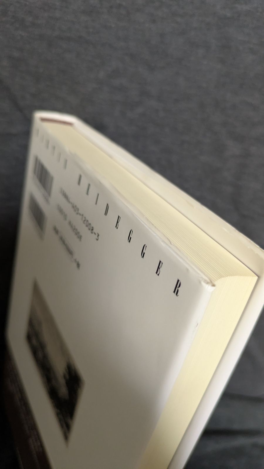 シェリング講義 ハイデガー 木田元 迫田健一訳 新書館