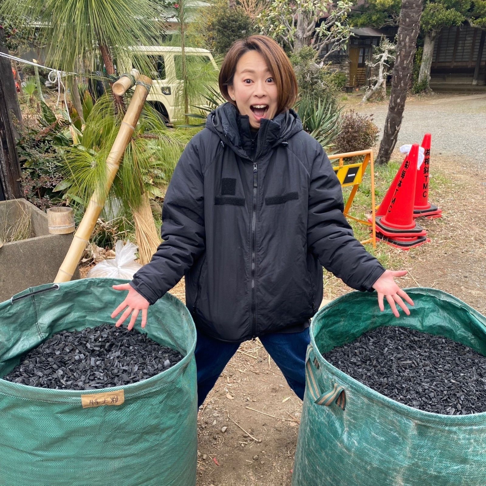 竹炭 未粉砕
