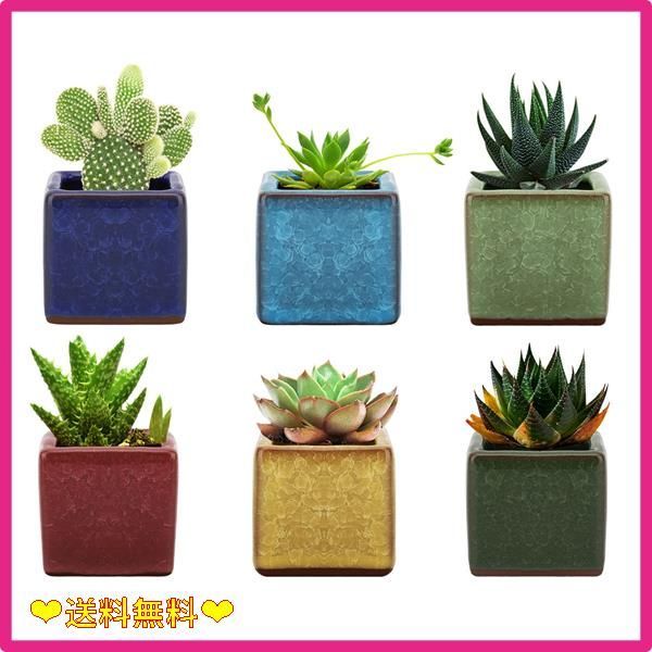 植木鉢✳︎テラコッタポット✳︎陶器✳︎観葉植物プランター多肉 楽天市場】【vase397】受け皿付き 植木鉢 ポット プランター