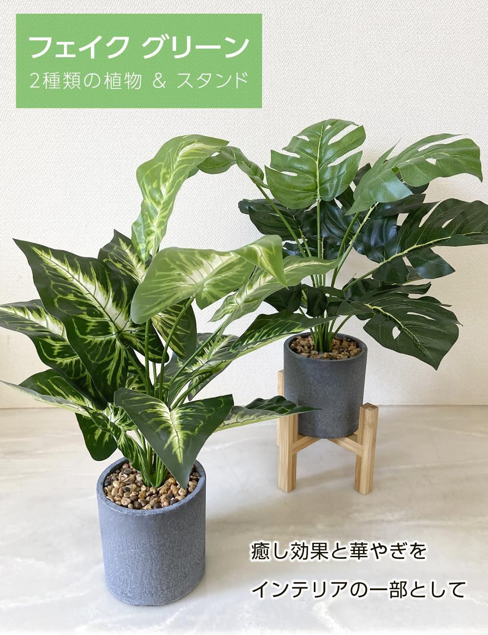 Kugusa 【生花店監修】 フェイクグリーン 人工観葉植物 モンステラ 鉢植え 造花 インテリア 2点セット 花台付き (モンステラとカラジウム)  メルカリ