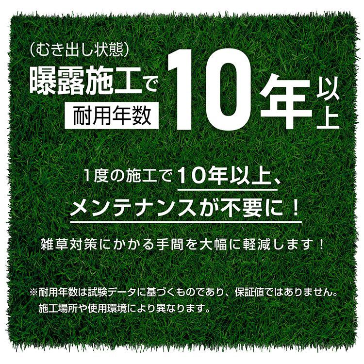耐用年数10年