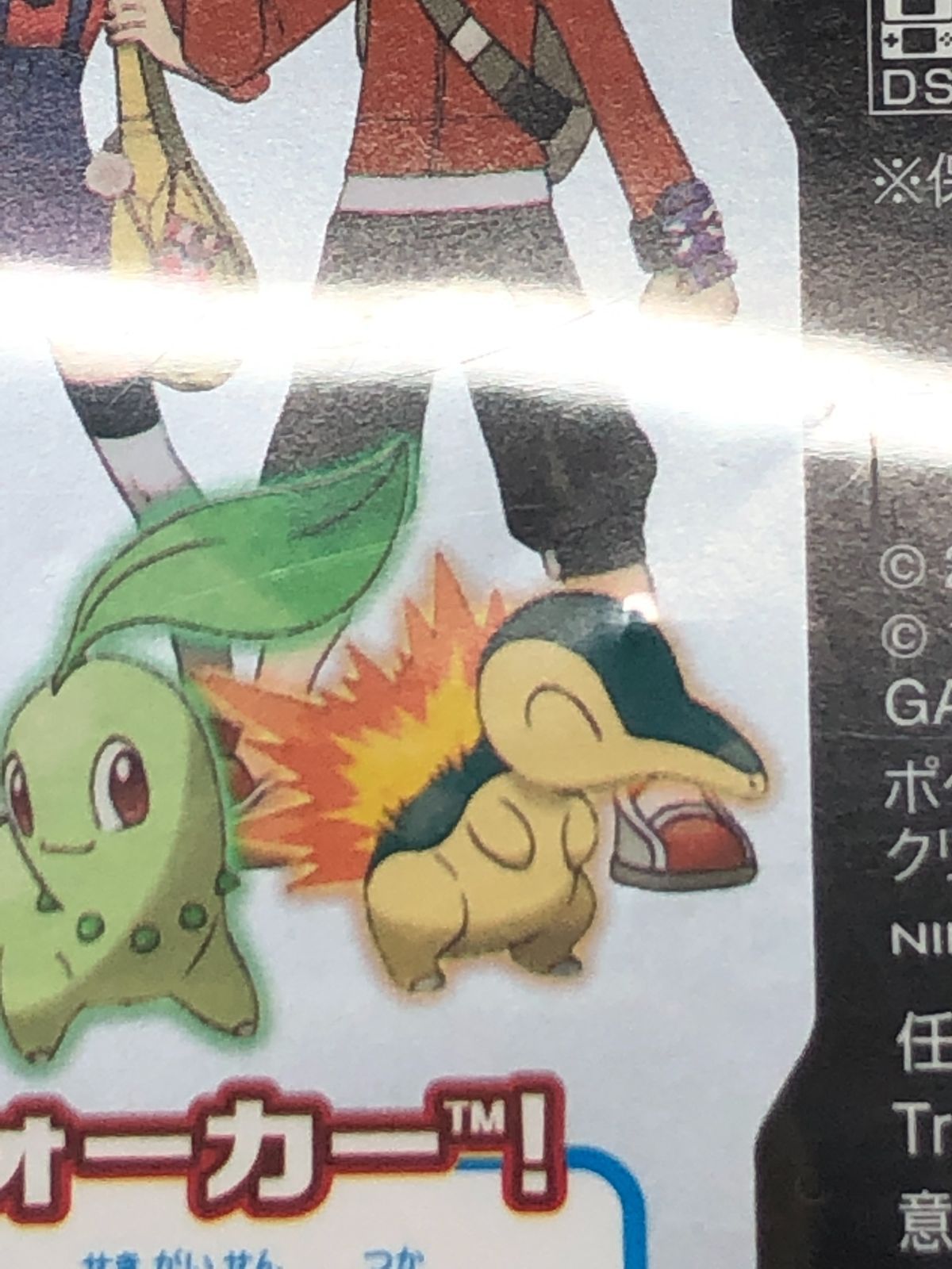 ニンテンドーDS ポケットモンスター ソウルシルバー カセットのみ DS