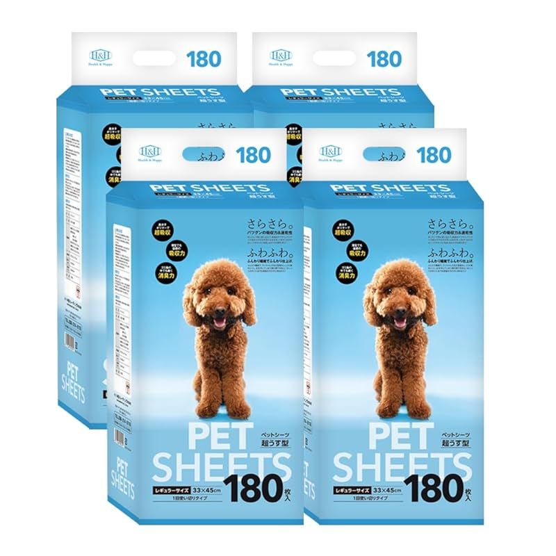 美品 内田裕太 作家鉢 モンスト 大鉢 y鉢 ストア アガベ グラキリス