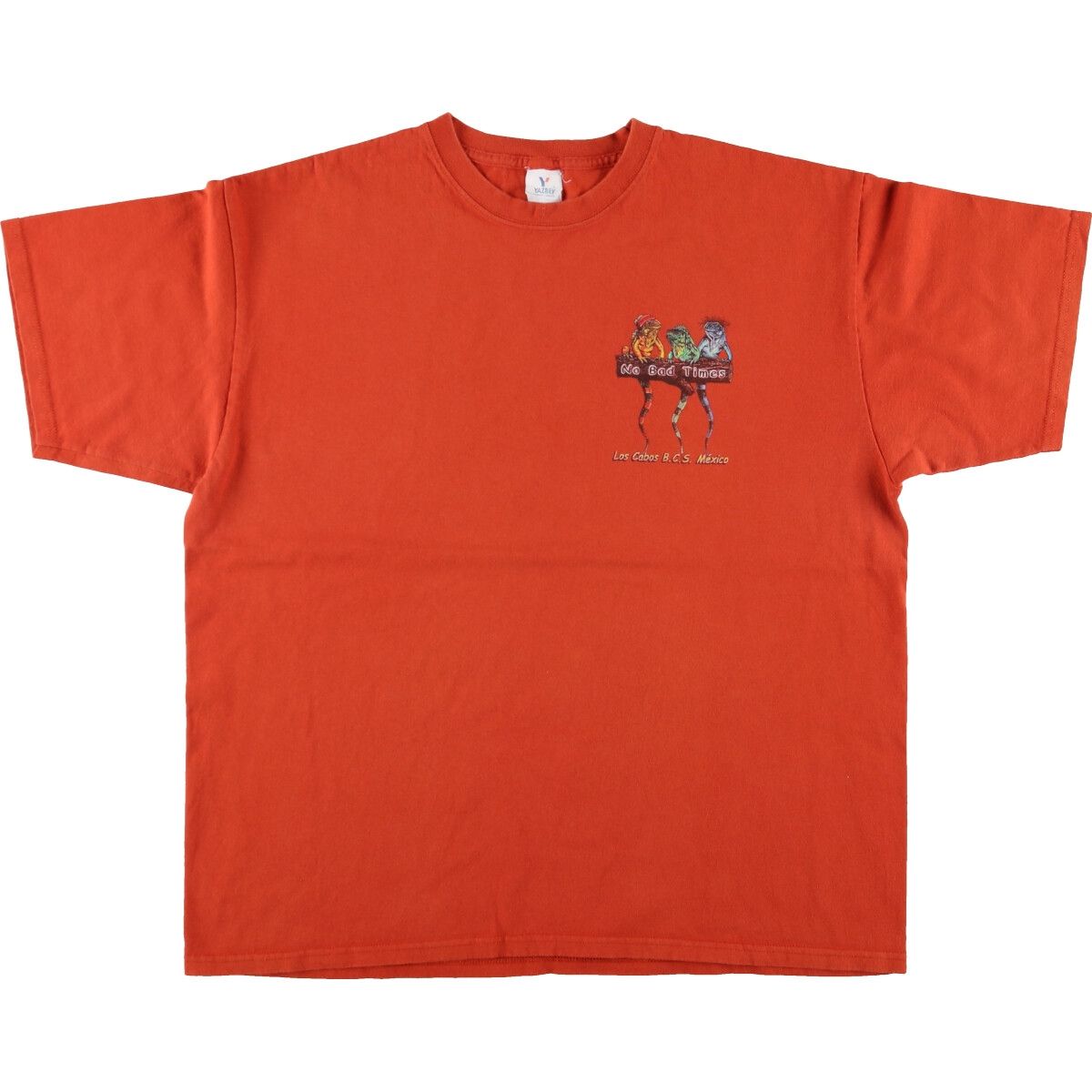 古着 YAZBEK イグアナ柄 アニマルTシャツ メンズXL相当