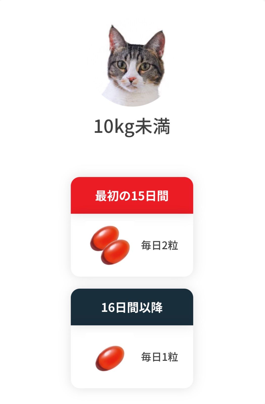 アンチノールプラス猫用( 90粒) ×2箱 - メルカリ