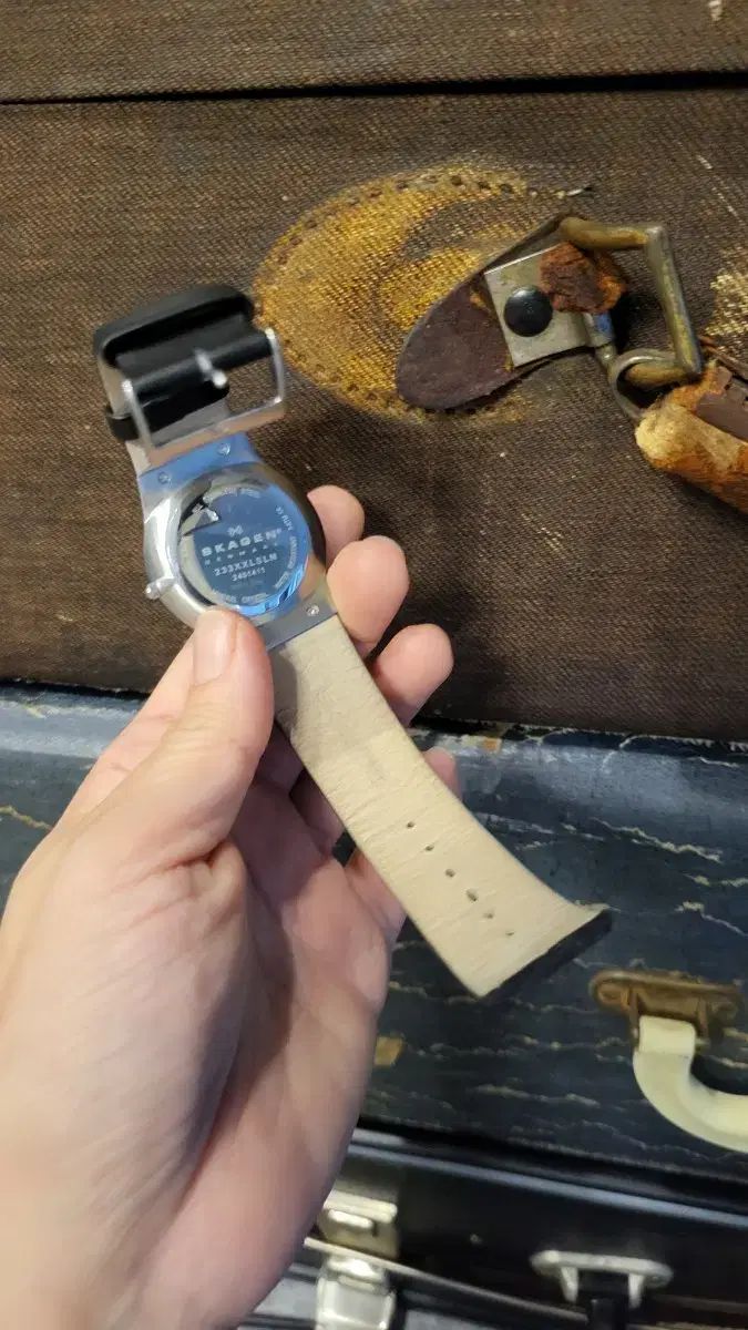 デンマーク SKAGEN スカーゲン 薄い 軽度 青文字盤 時計 HAPPYPLANETSERVICEAPARTMENTS_COM