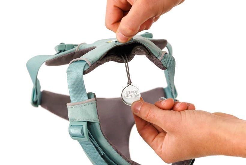 Harness