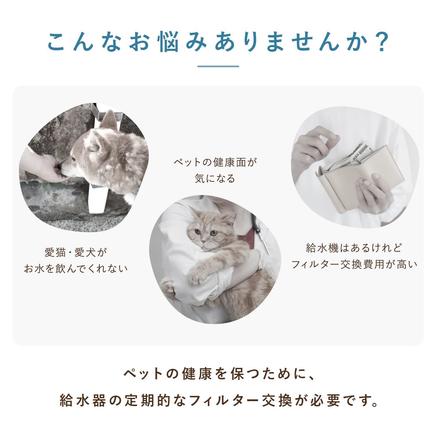【ゆき】ページ　　リクエスト商品のため 特価商品】YUKI TRADING 6個入 Homerunpet互換/プラスアクア対応