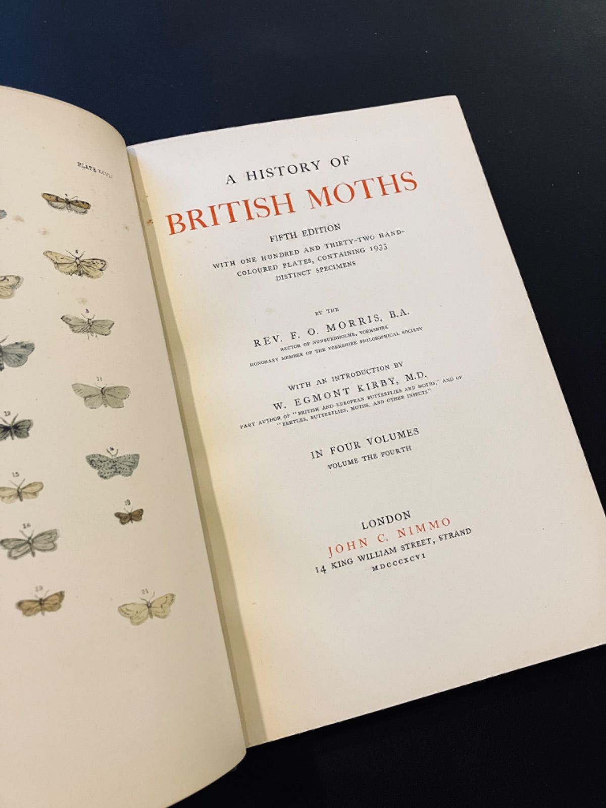 【アンティーク古書】1896年発行 蛾の図鑑 A History of British Moths Vol.4