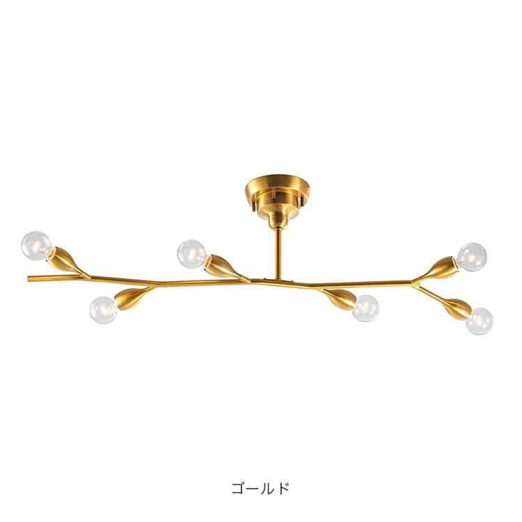 6灯