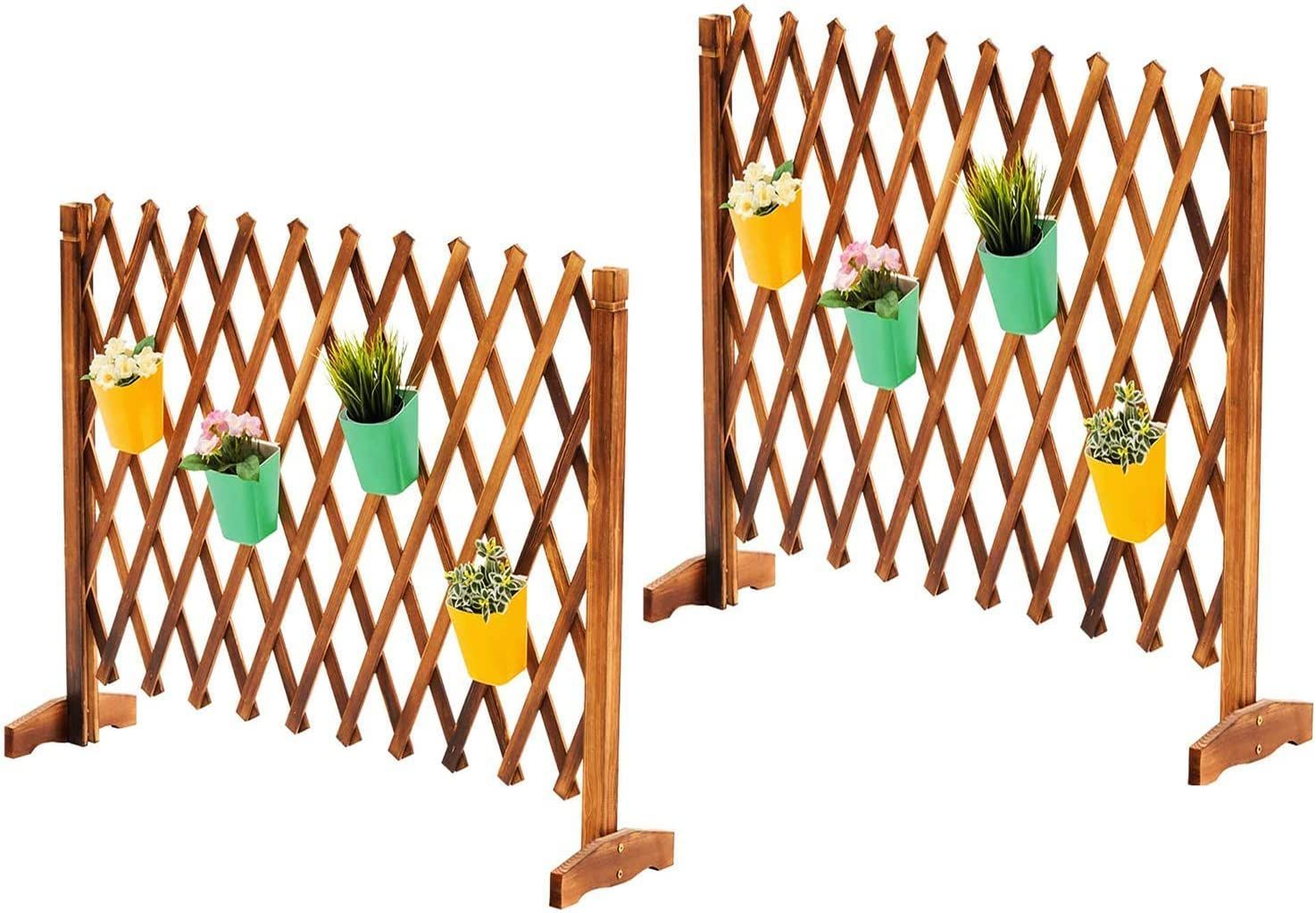 炭化表面処理 防虫