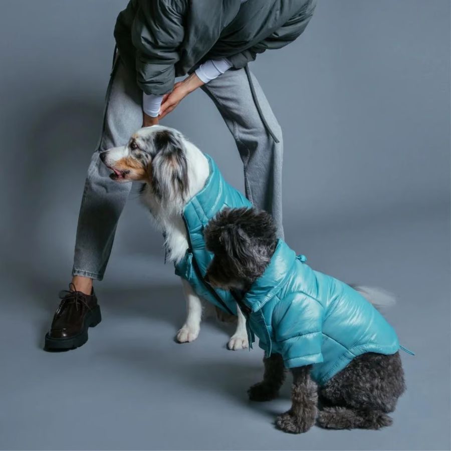 【新品】ダウンウエア/くすみブルー /max-bone/Sサイズ 新品】max-bone(マックスボーン)/ダウン/くすみブルー/ジャケット