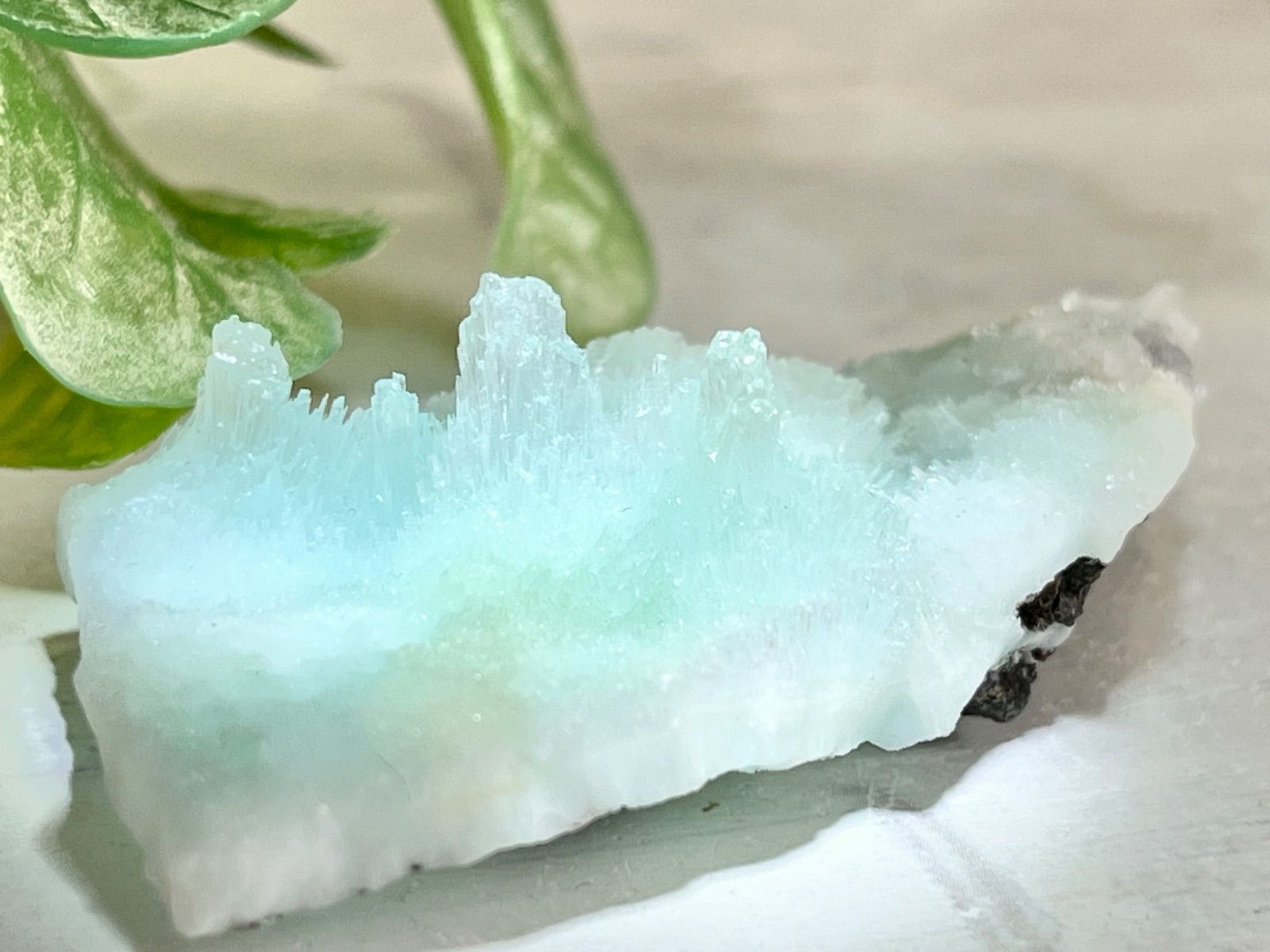 秋の風情】 中垣連次 魯山人写し 織部 秋草虫文 八寸兜鉢 大鉢 深鉢