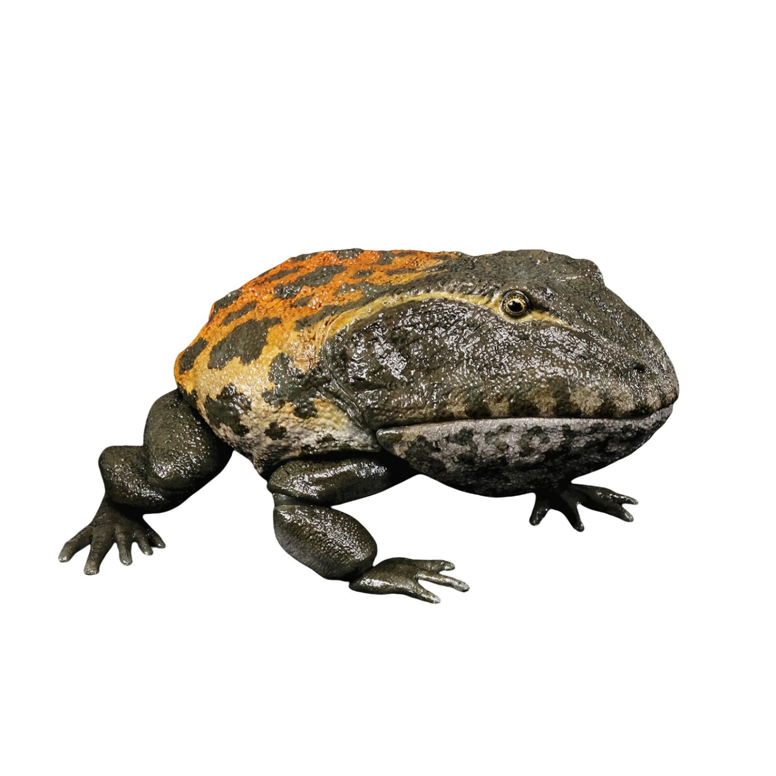 カエル フィギュア