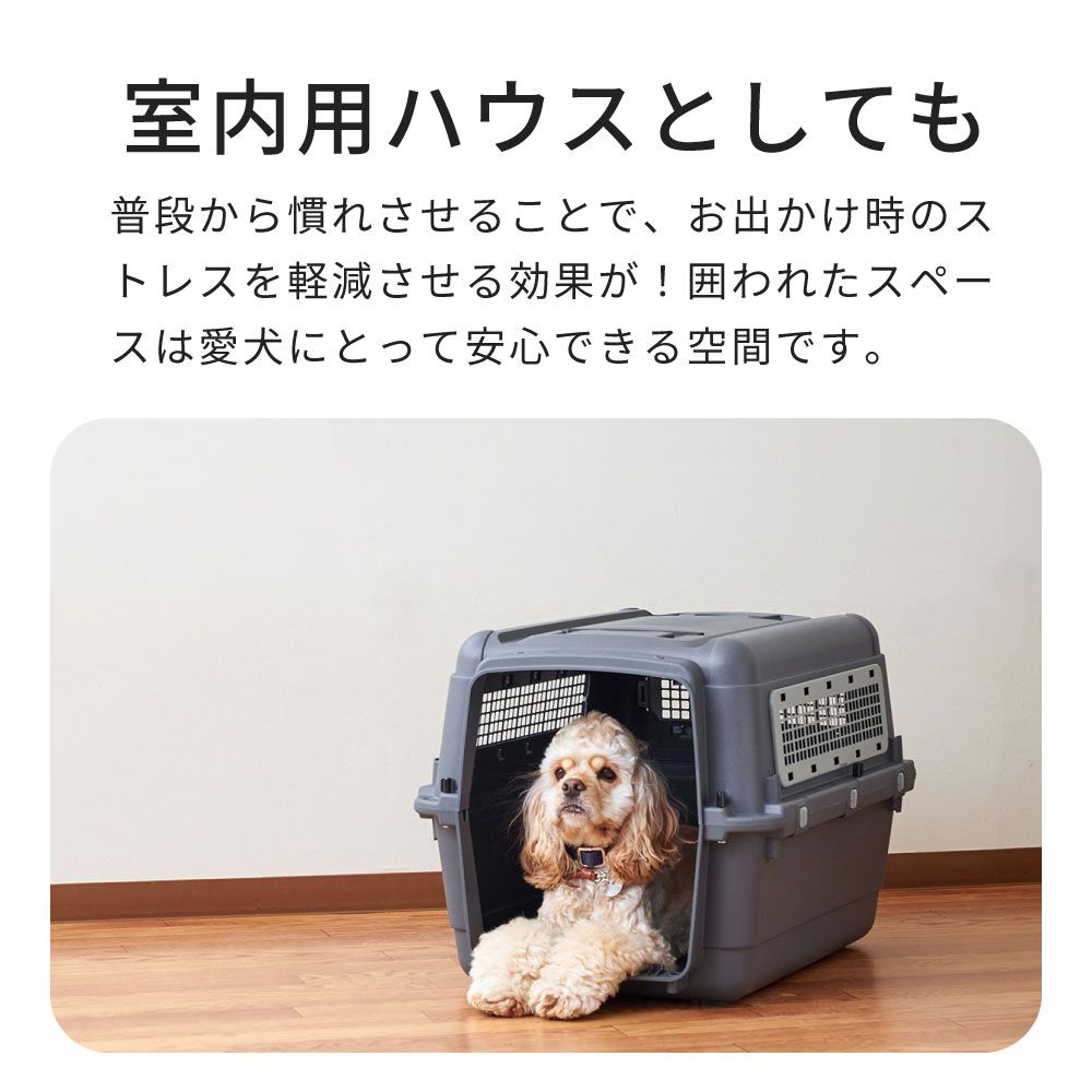 メルカリ店