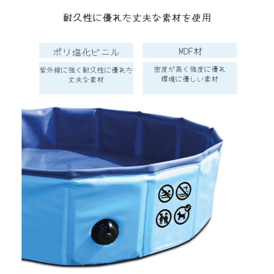 小型犬