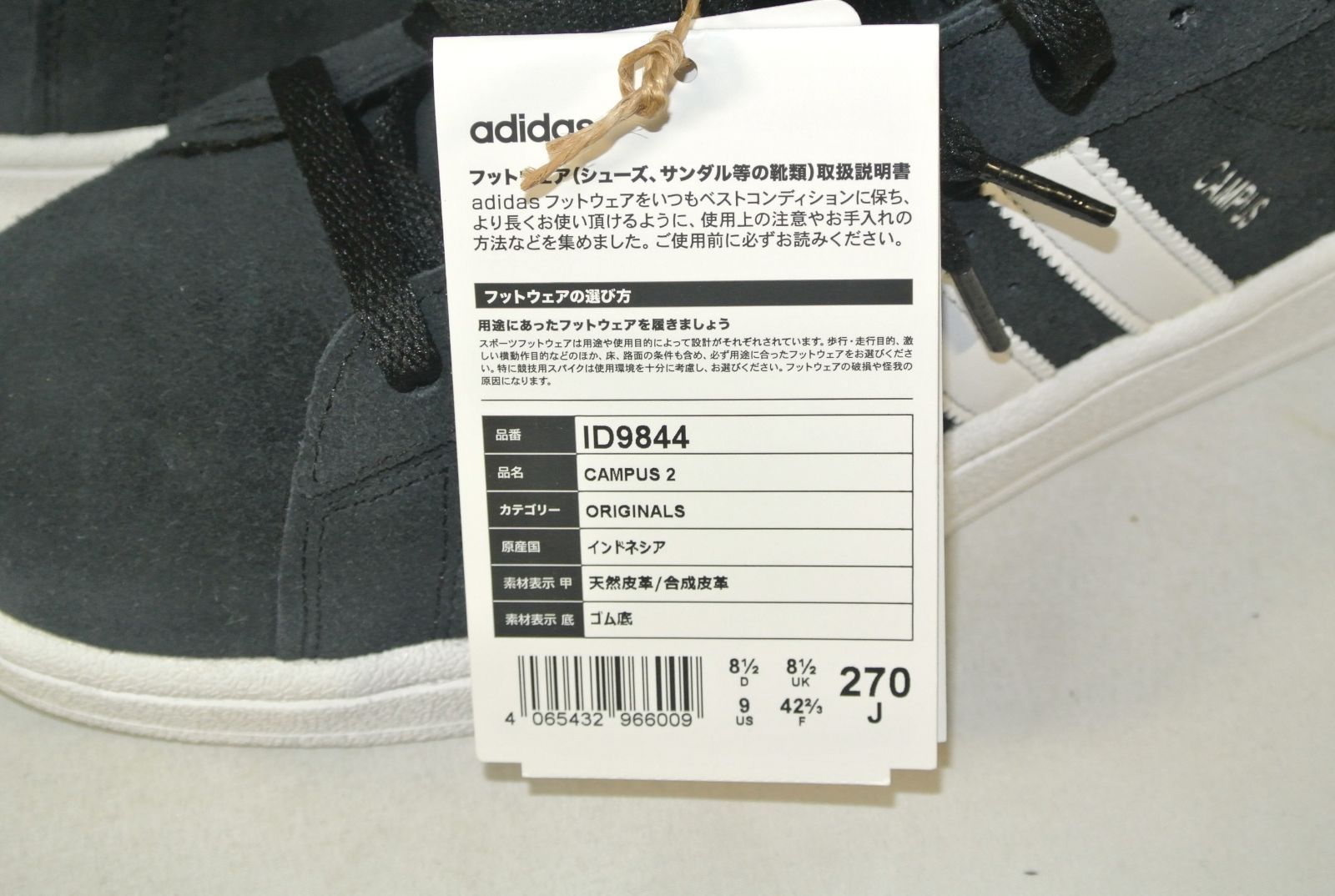 キャンパス