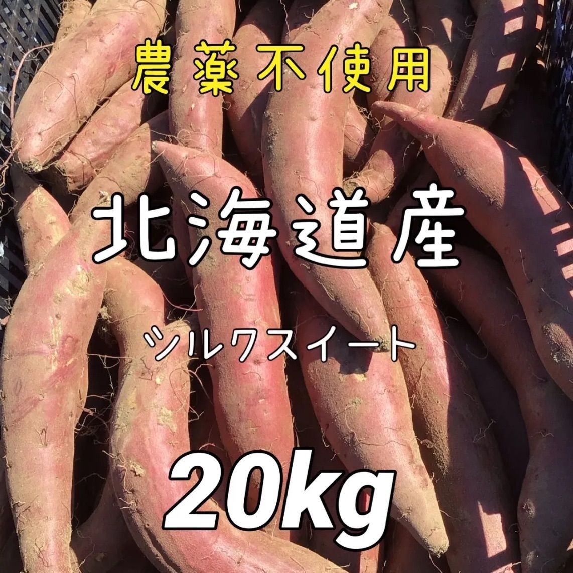 北海道栗山町 ファームうかわ 訳ありシルクスイート 20kg 農薬不使用！