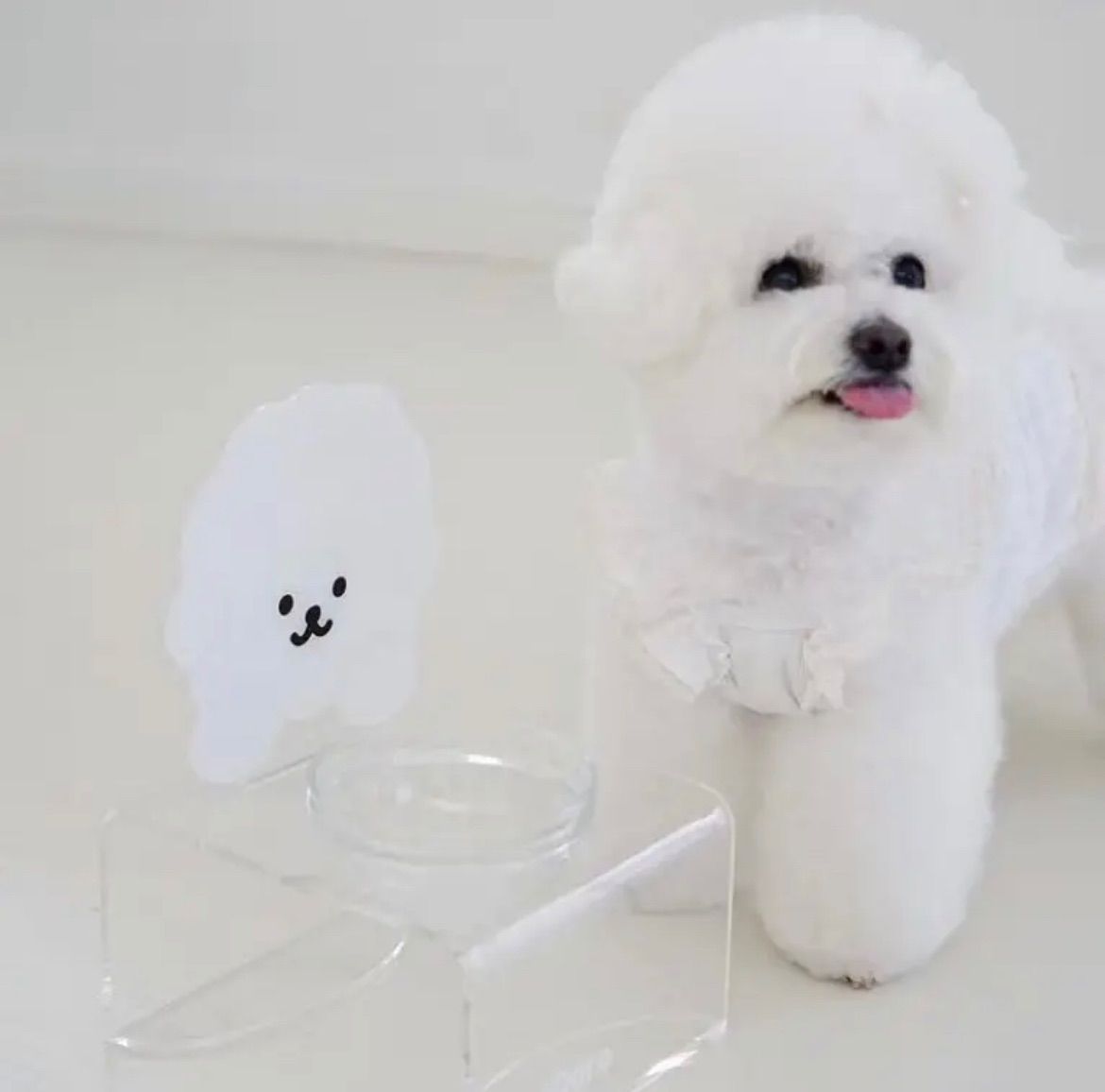 フードボウル 透明 韓国 ペット 犬 猫 お椀 ガラス クリア ペットボウル フードボウル ペットボウル 透明 韓国 韓国雑貨 フードボウル