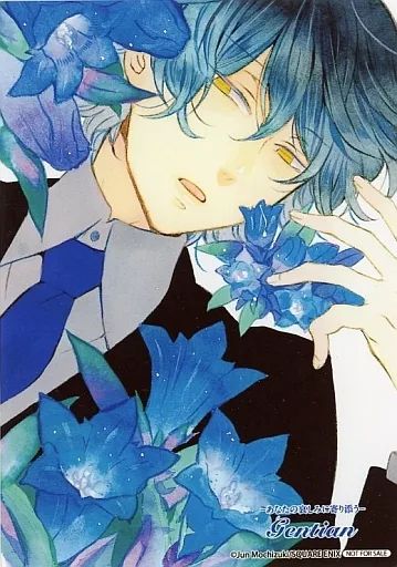 Pandora Hearts 花言葉 ブロマイド　フルセット パンドラハーツ 花言葉 ブロマイド 6点セット