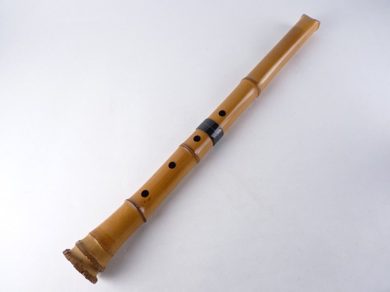 高さ 約54.5cm