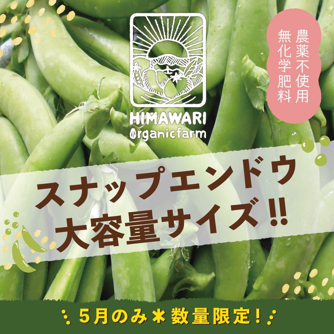 スナップエンドウ訳あり品 700g - 野菜