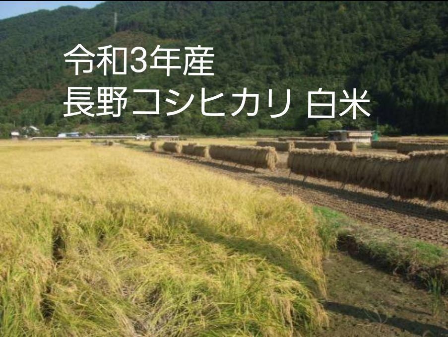 令和3年産 長野コシヒカリ白米30㎏（10㎏×3）精米したてをお届け