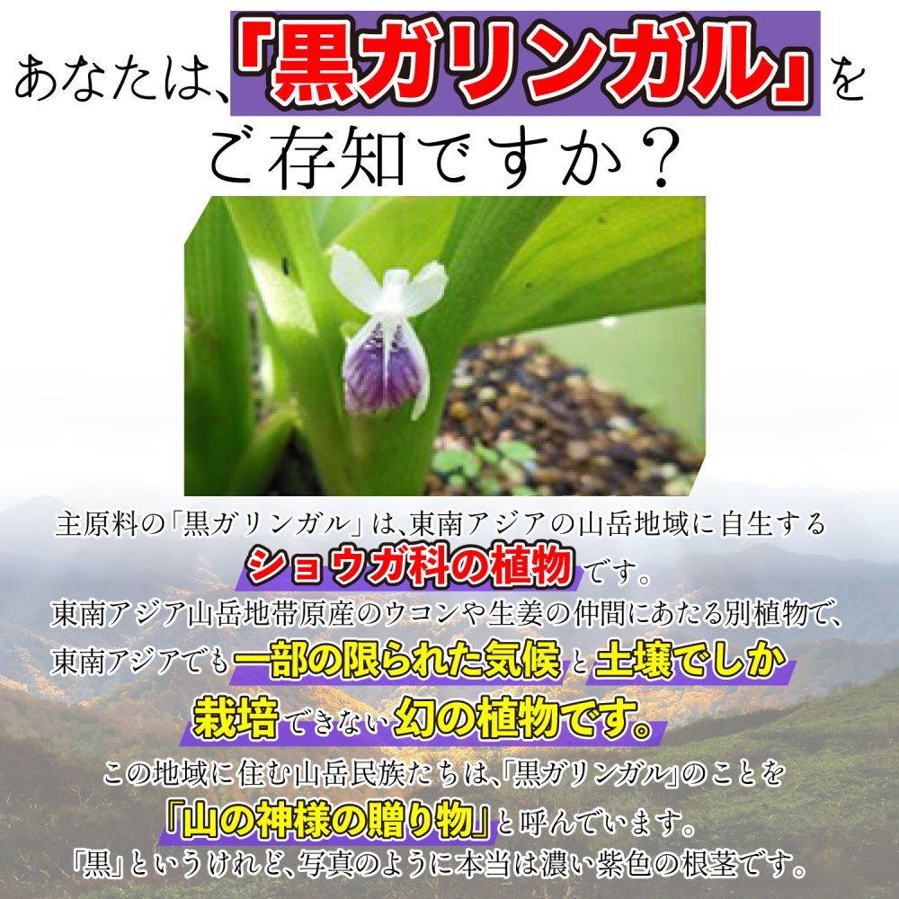 ポイント常時2倍商品 クロガリンダ 37g 1カプセル370mg×100カプセル ×2個セット 黒ガリンガル