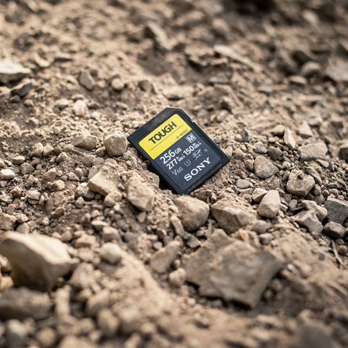 SF-M256T T1