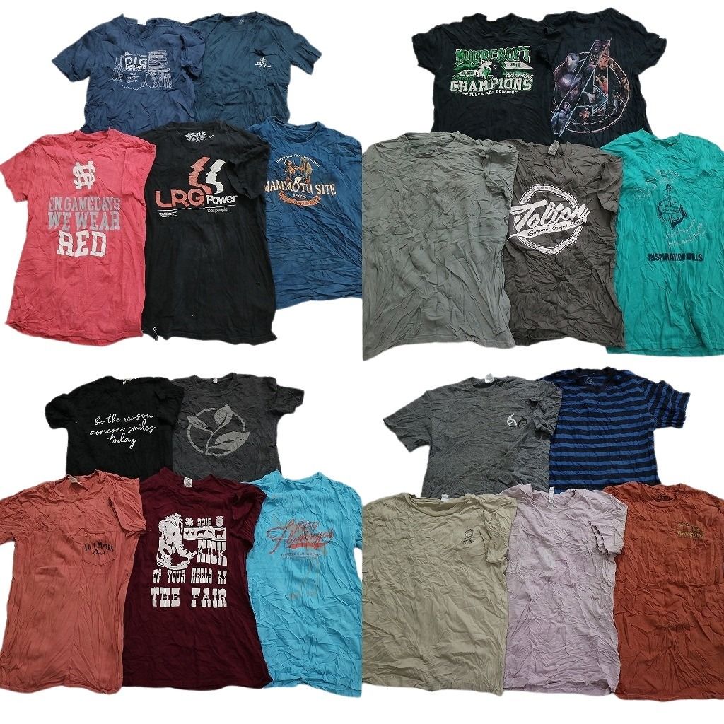 MPM145 US古着 ロゴプリント 半袖 Tシャツ まとめ売り 25枚 MIX ms6543-1.jpg