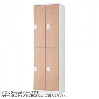 豊國工業 オール扉タイプ可動棚式4人用2列2段 W525 内筒交換錠 RLK-TTKN4252-WLB