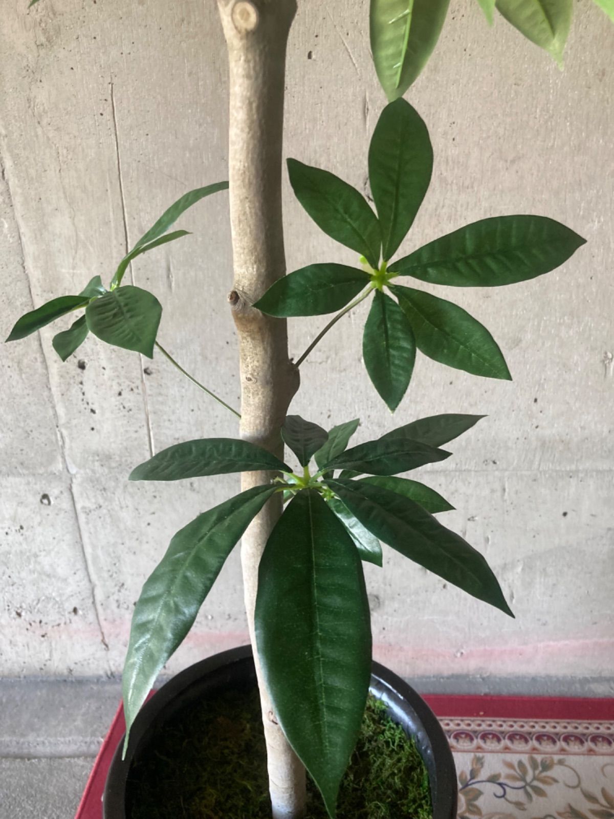 光触媒 人工観葉植物 ウォールグリーン フェイクグリーン パキラ