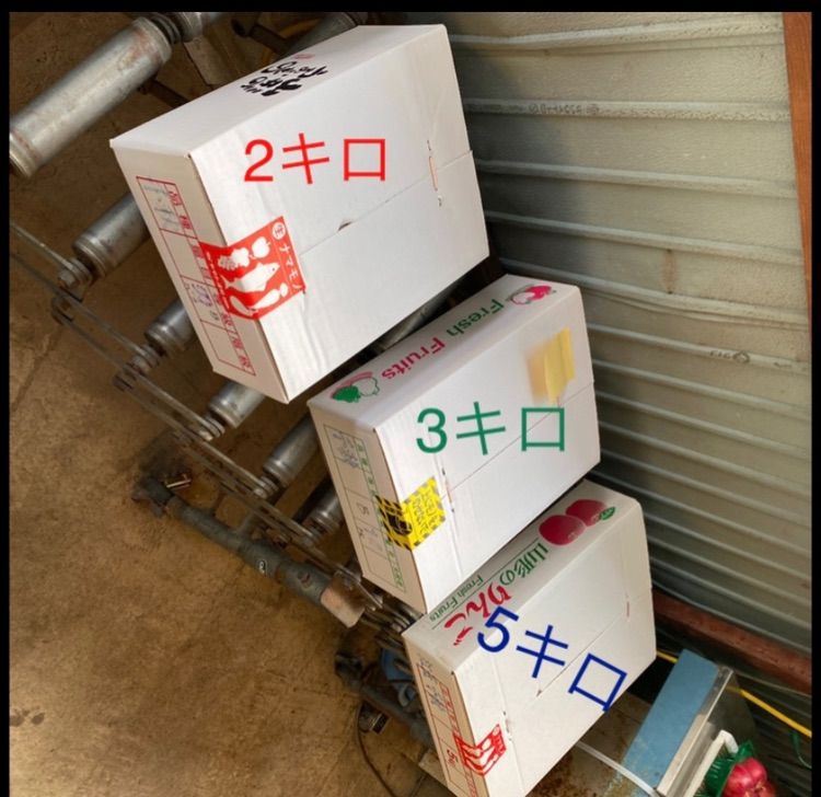 減農薬栽培山形県産どーんと　ふじ小玉パック詰め10キロ 50玉-3