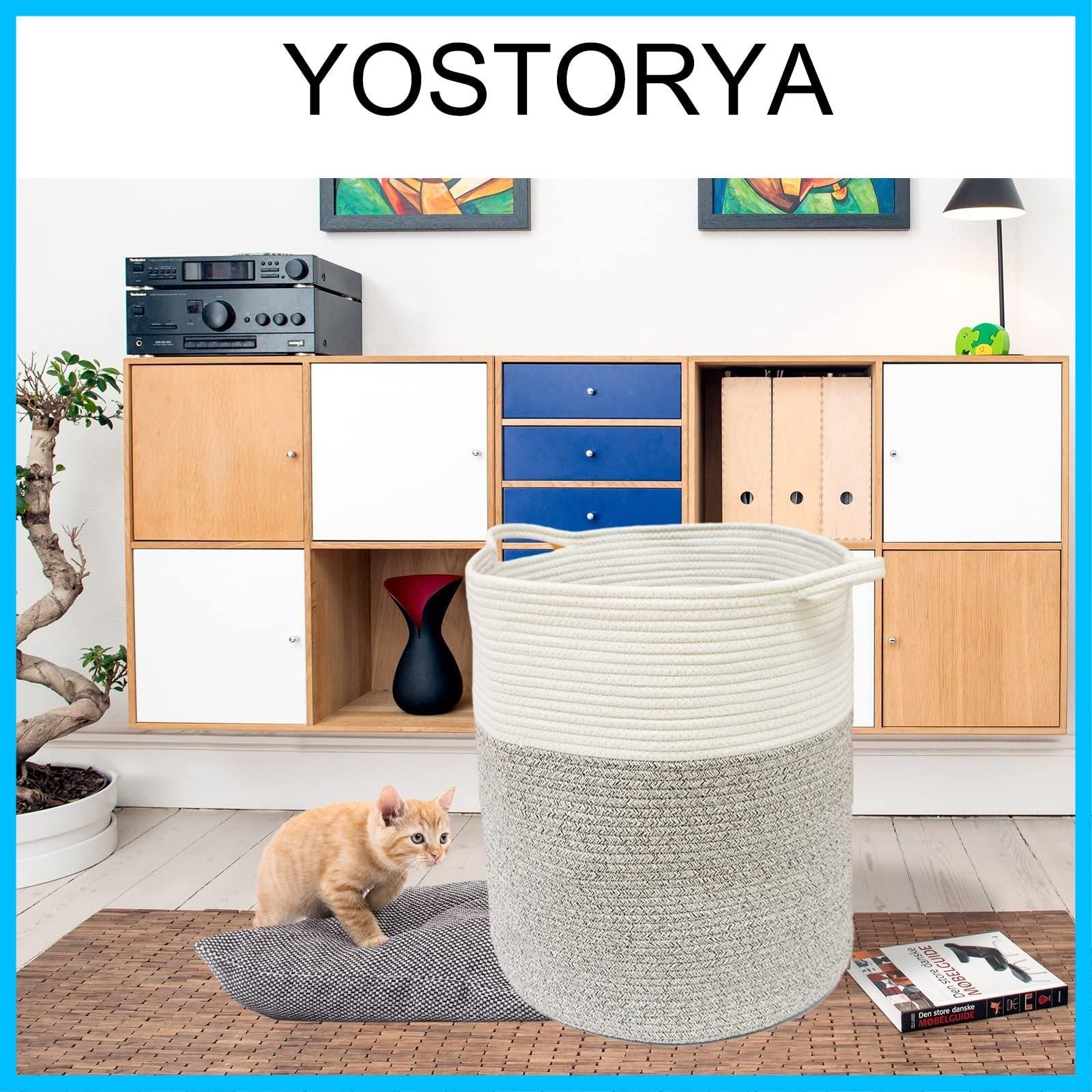 あけび かご カゴアミドリ 特大 トレー 希少