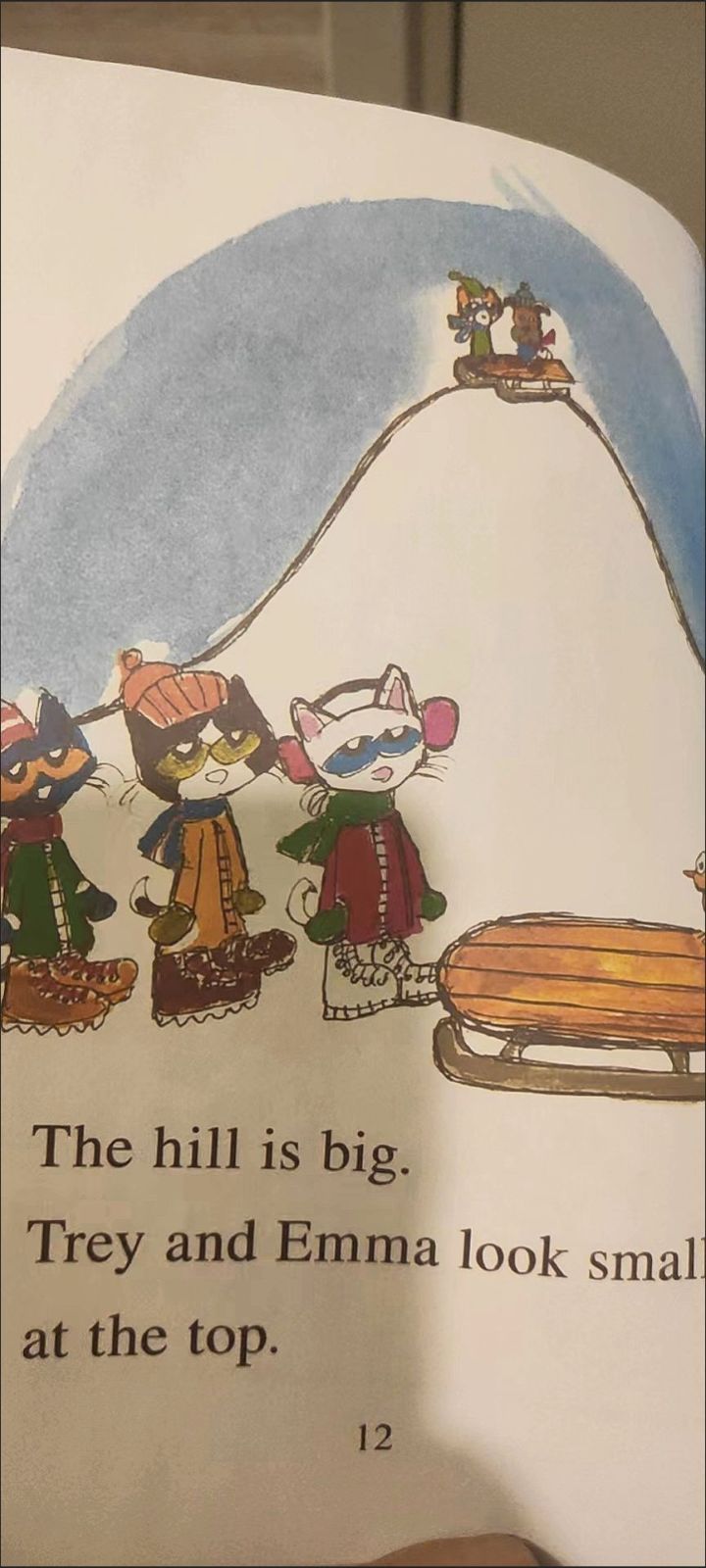 Pete the Cat 絵本　32冊セット Pete the Cat 絵本 32冊セット Pete the Cat 絵本 32冊セット