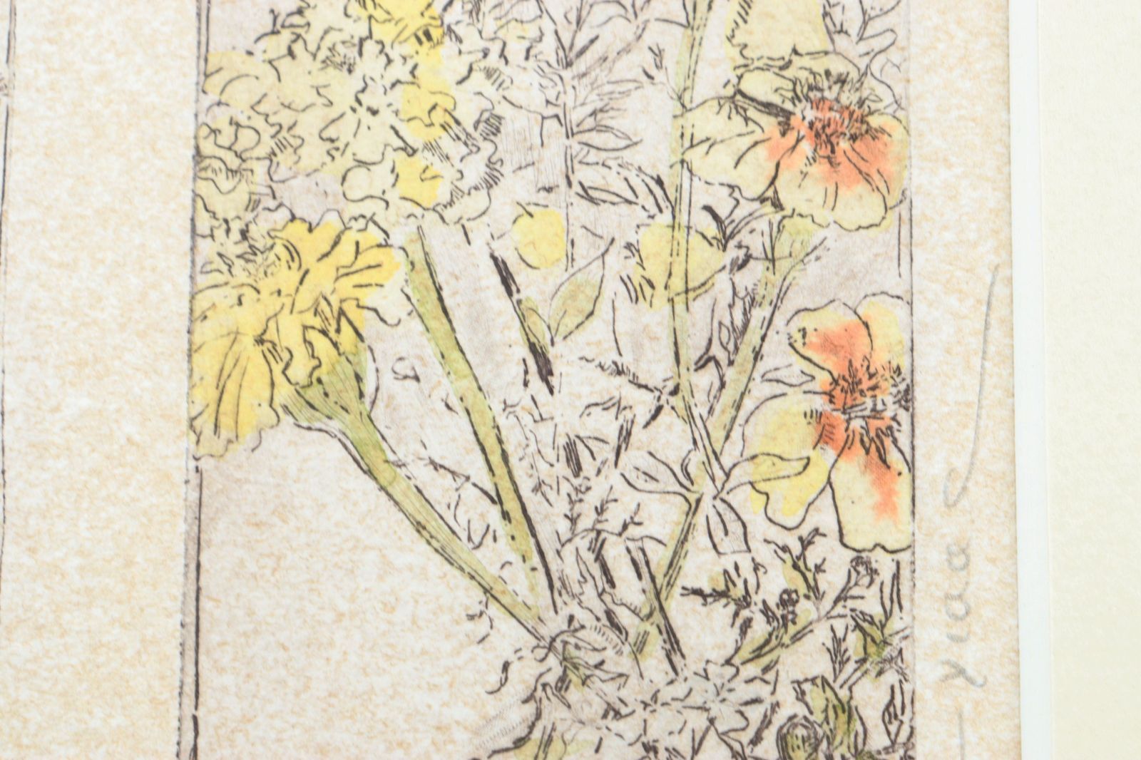 品質保証，格安】 真作□ジークレー版画□ジョアン アイザック(Joanne