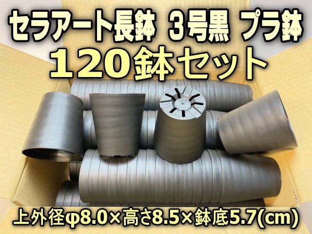 長火鉢 セラアート長鉢3号黒プラ鉢(陶器風ロング深鉢タイプ)120鉢セット