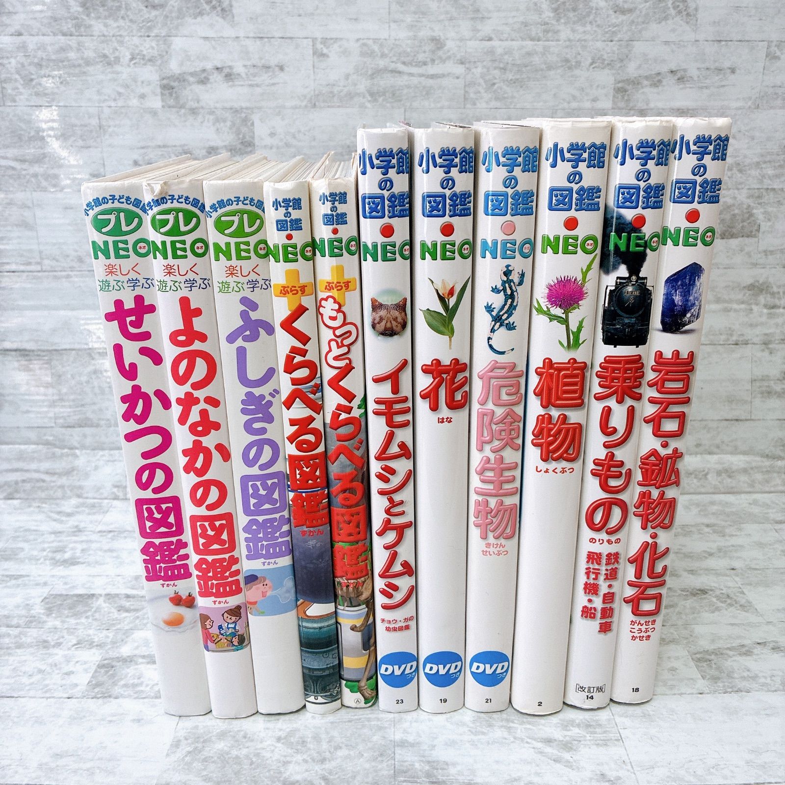 小学館の図鑑NEO 11冊セット DVD付き