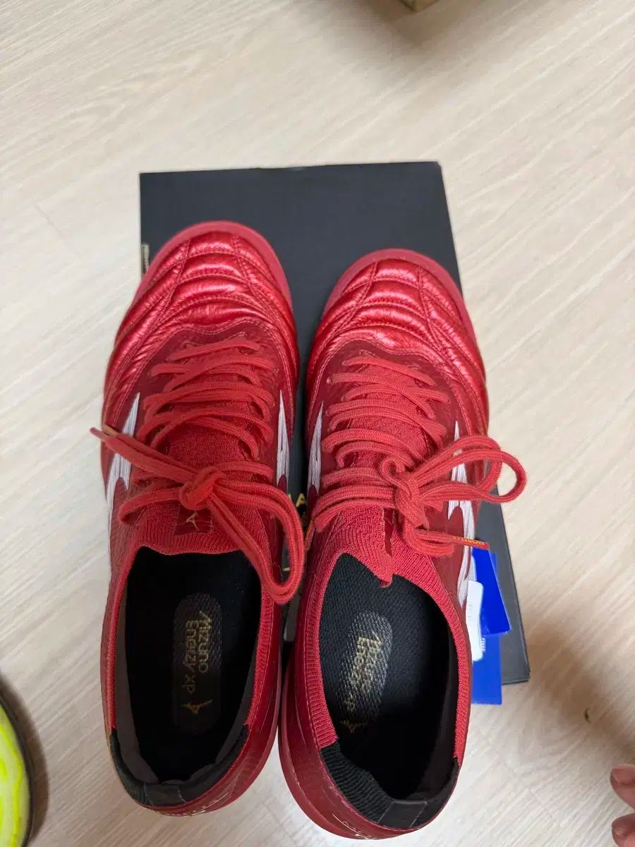 サラベータジャパンTF