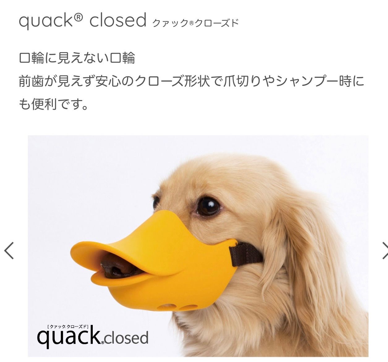 OPPO (オッポ) quackclosed（クアッククローズド）Mサイズ ルビー