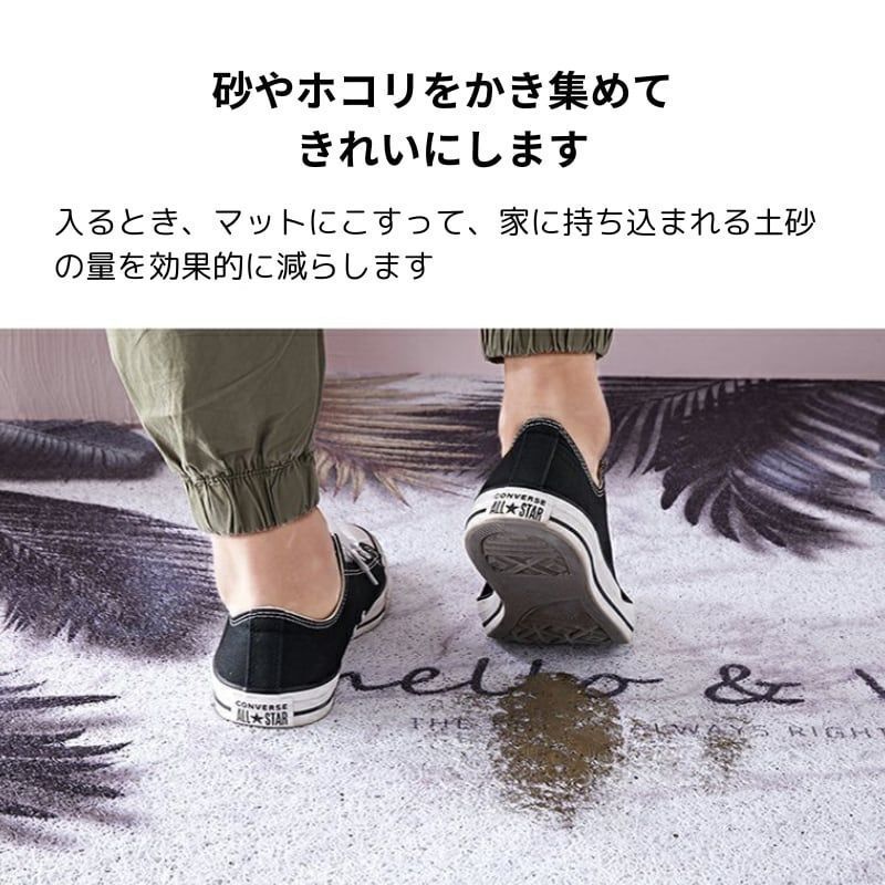 泥落とし エントランス
