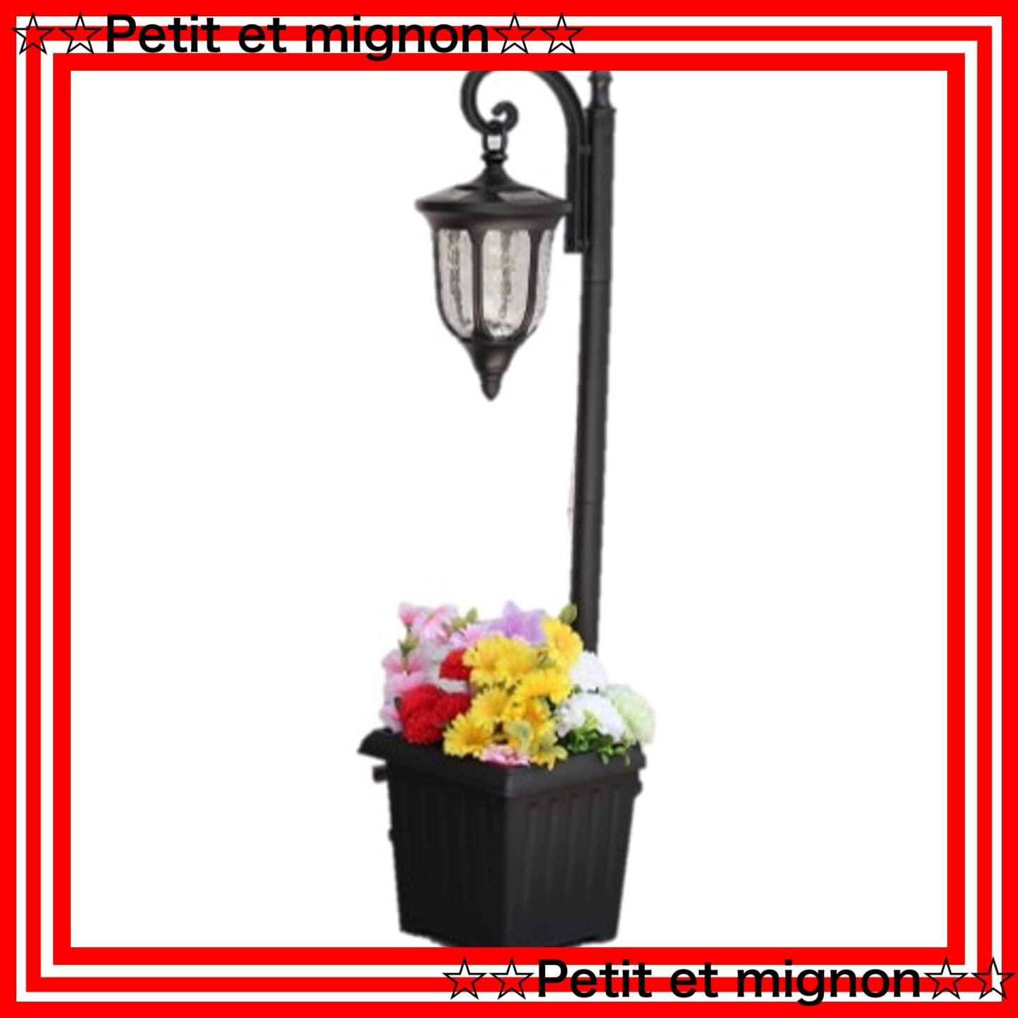 メルカリ便発送‼︎　リップルエフェクト　ランナー子株　鉢付き発送‼︎ メルカリ便発送‼︎ リップルエフェクト ランナー子株 鉢付き発送‼︎