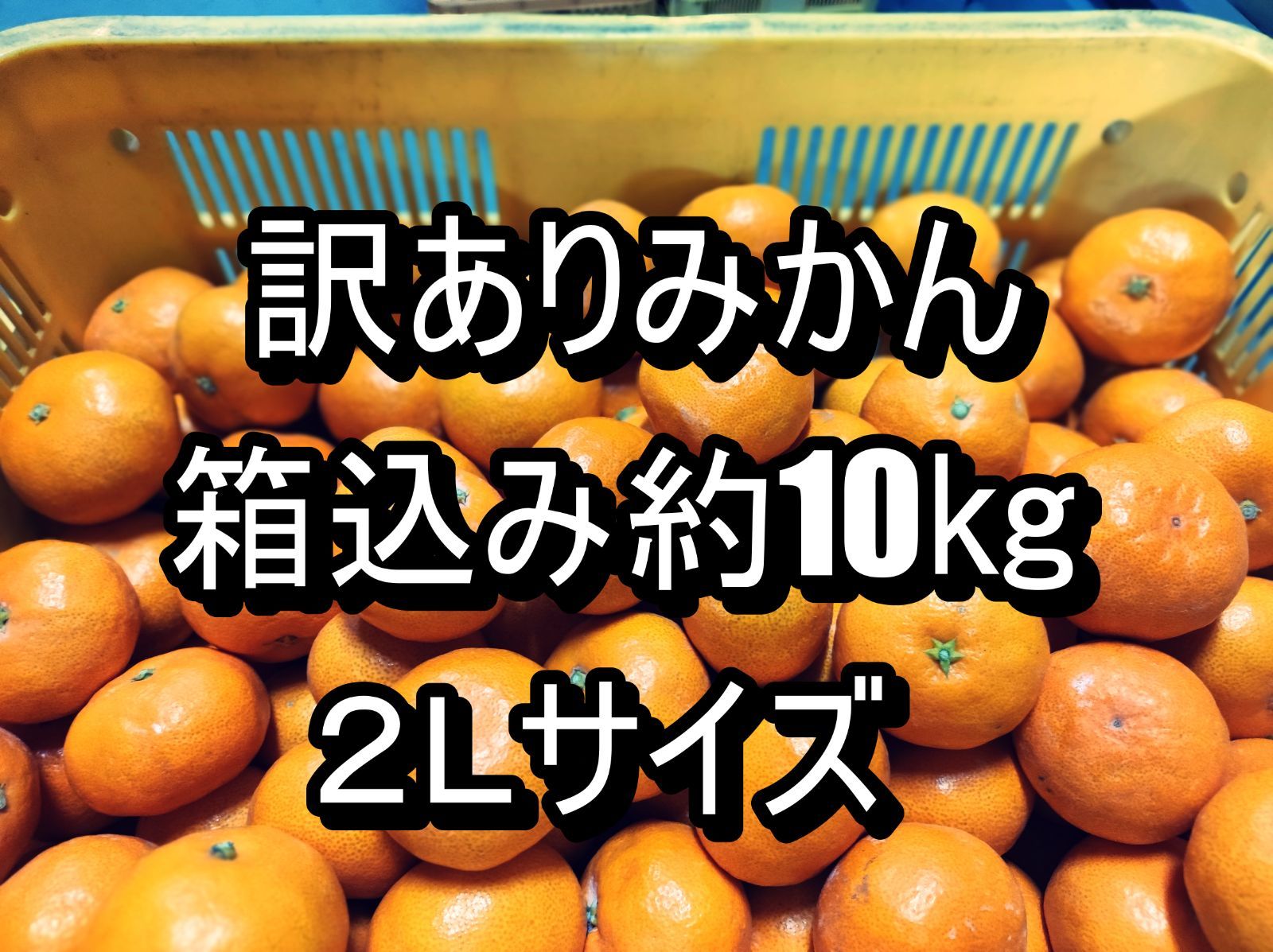 甘夏みかん 訳アリ 2Lサイズ １０Kg箱込み - 果物