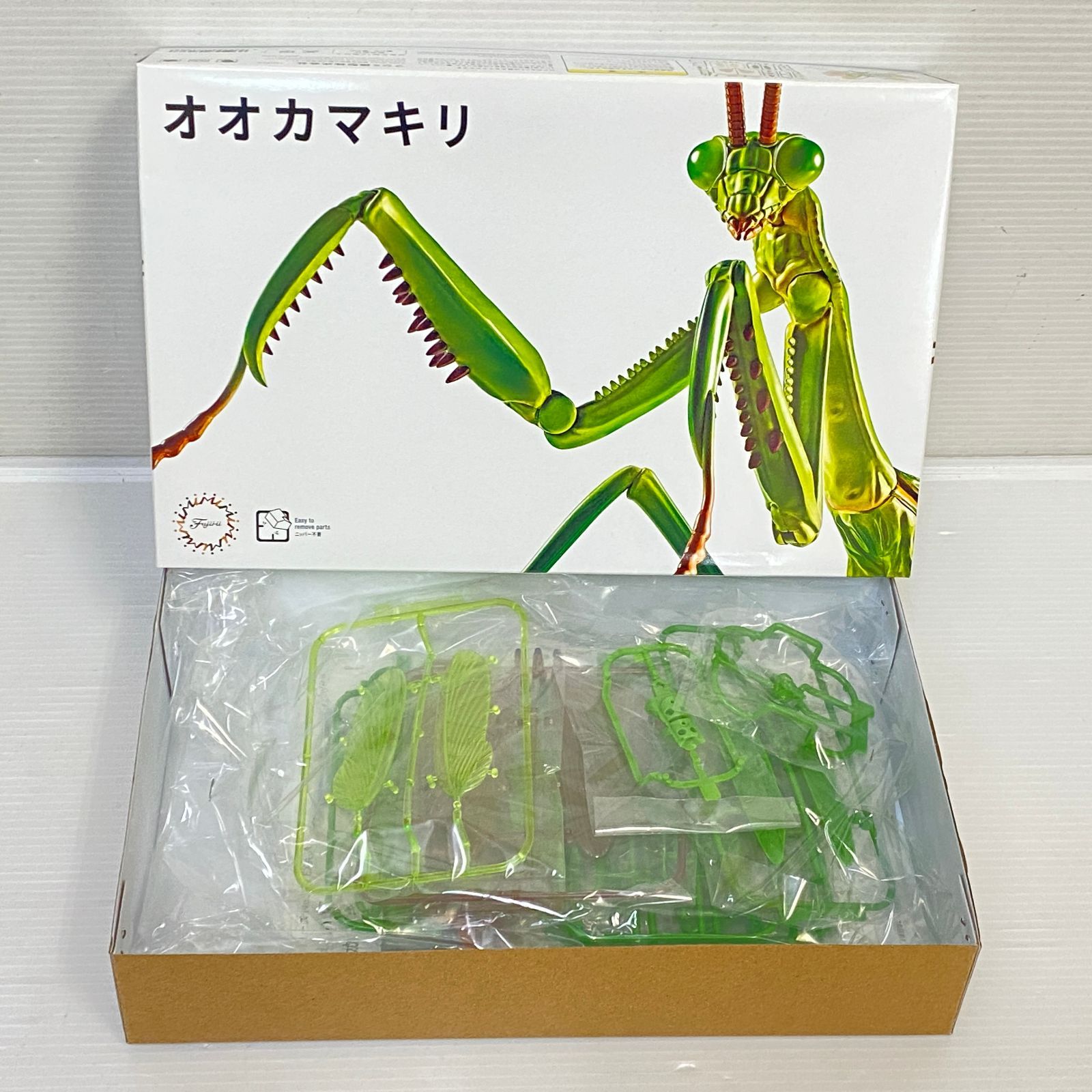 カブトムシ クワガタムシ